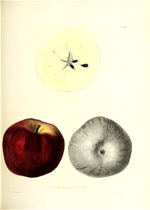 n122_w1150