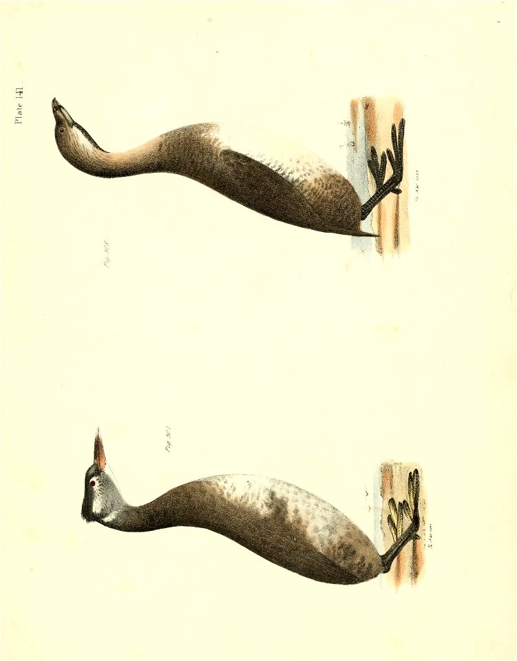 n678_w1150