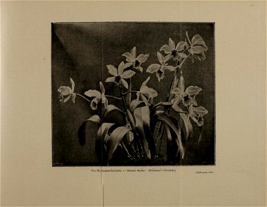 n846_w1150