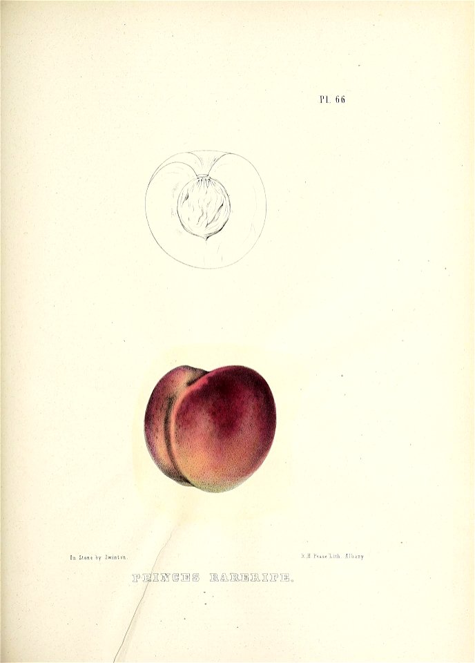 n180_w1150