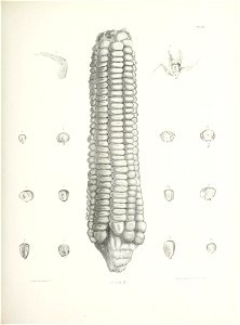 n452_w1150