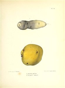 n422_w1150