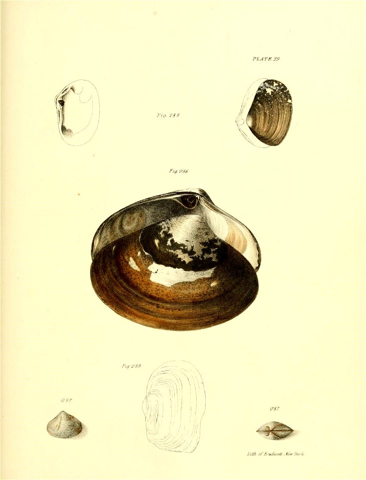 n428_w1150