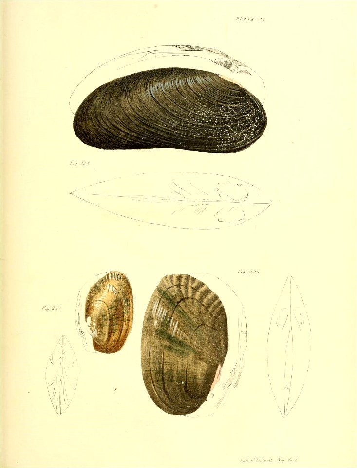 n398_w1150