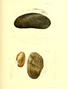 n398_w1150