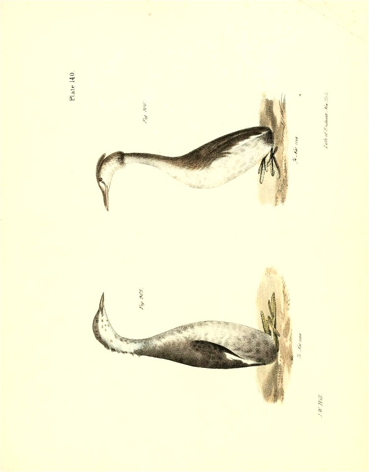 n676_w1150