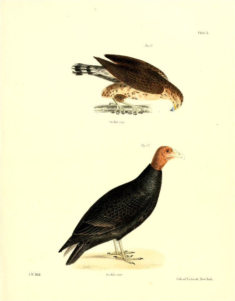 n406_w1150