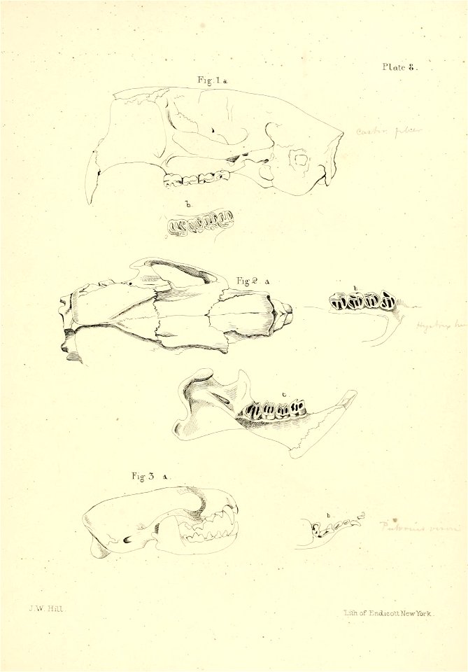 n378_w1150