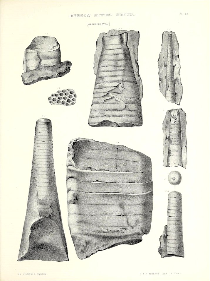 n768_w1150