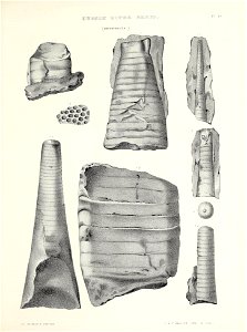 n768_w1150
