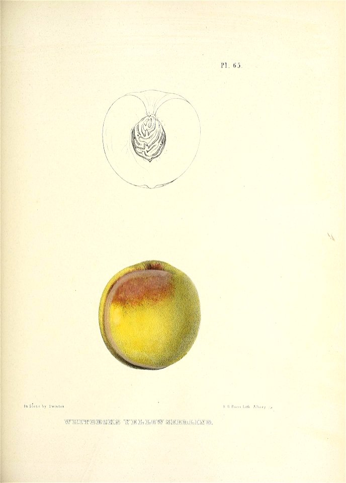 n178_w1150
