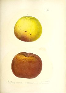 n148_w1150