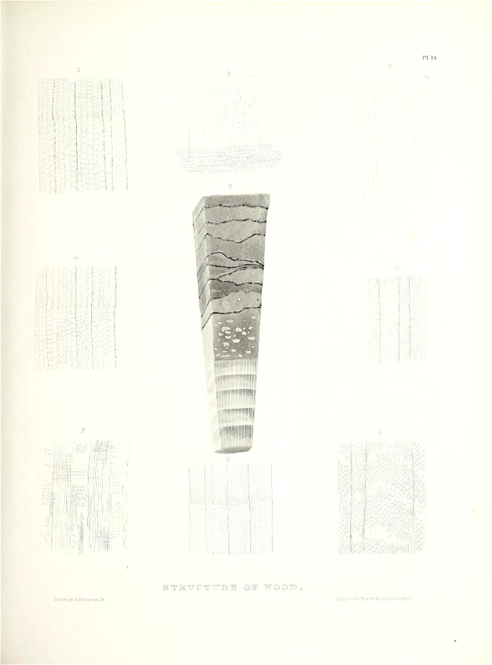 n450_w1150