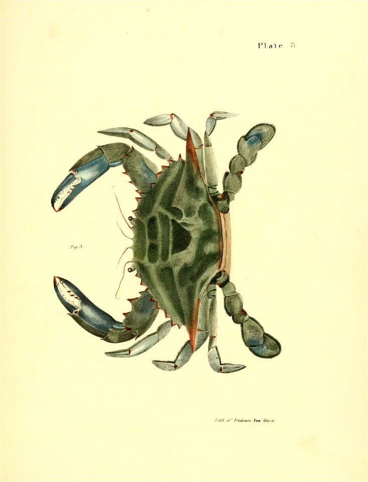 n458_w1150