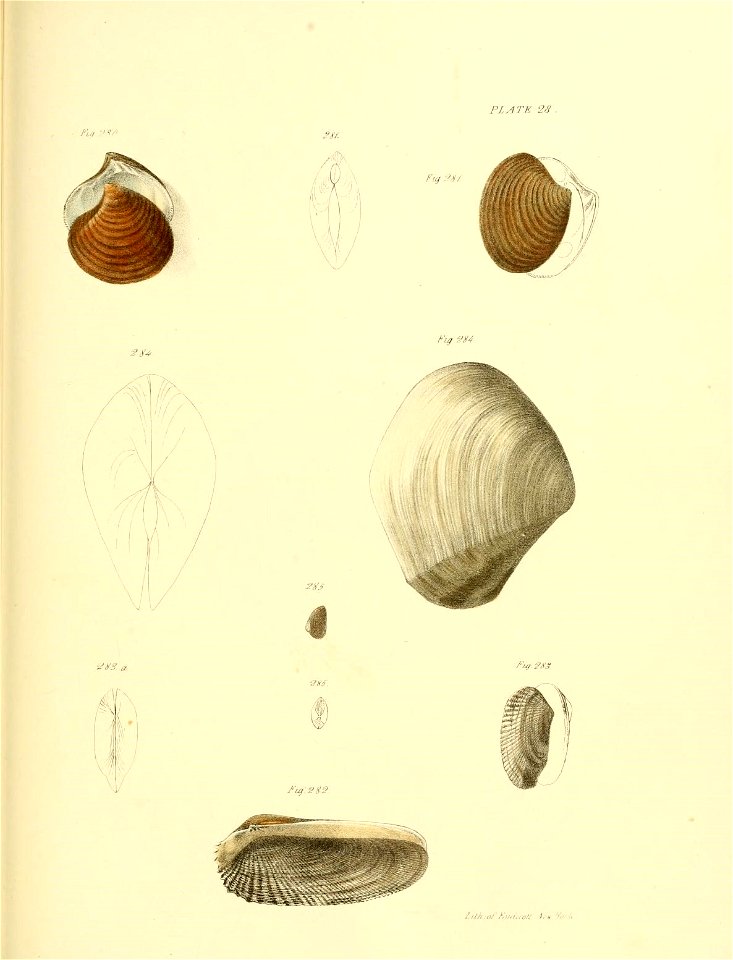n426_w1150