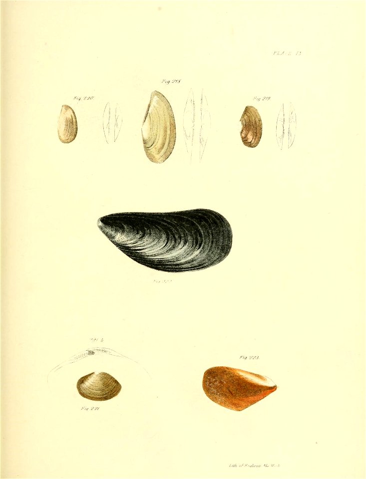 n396_w1150