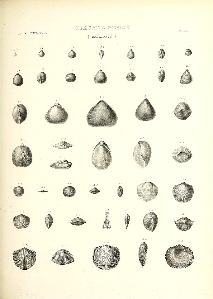 n672_w1150