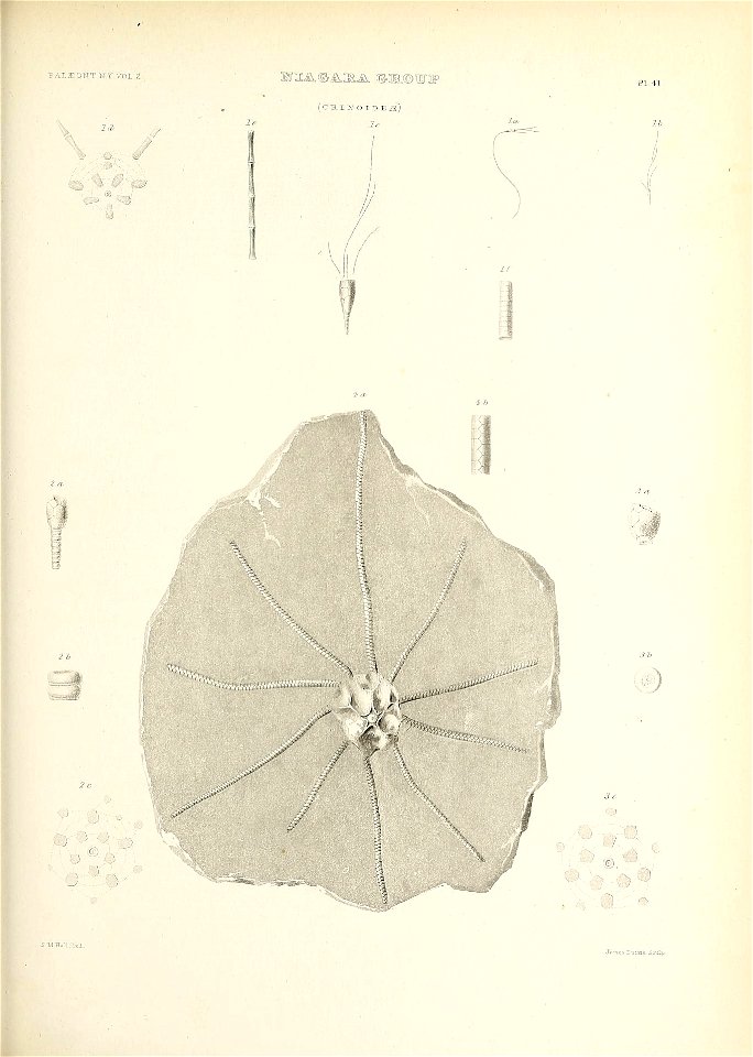 n612_w1150