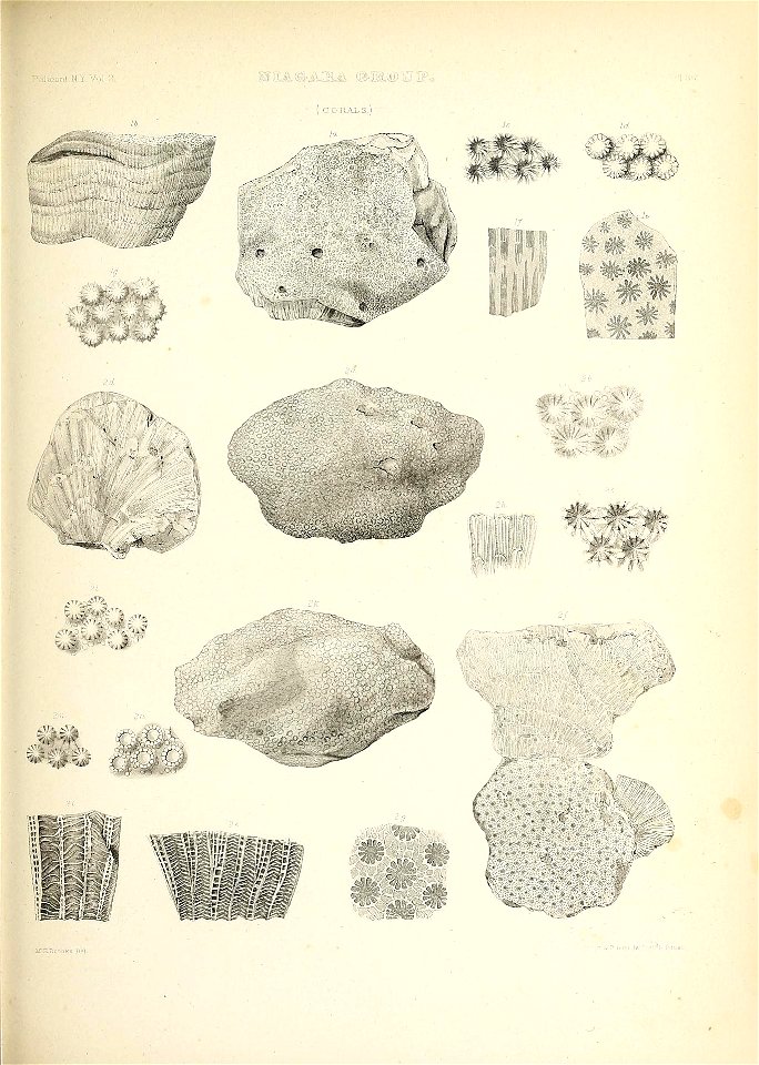 n552_w1150