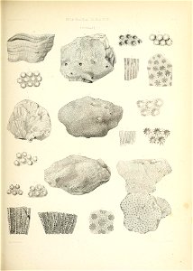 n552_w1150