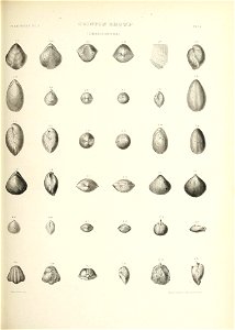 n492_w1150