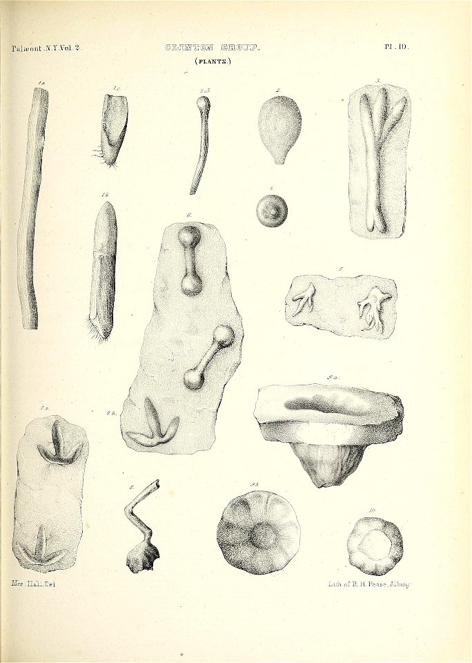 n432_w1150
