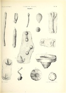 n432_w1150