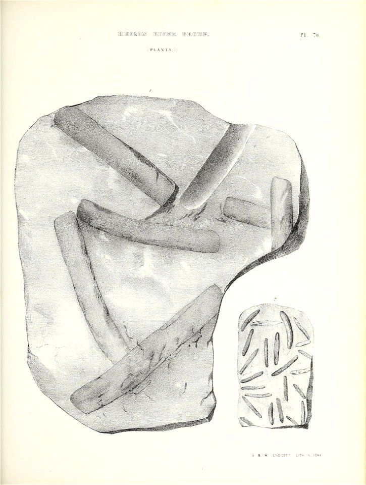 n704_w1150