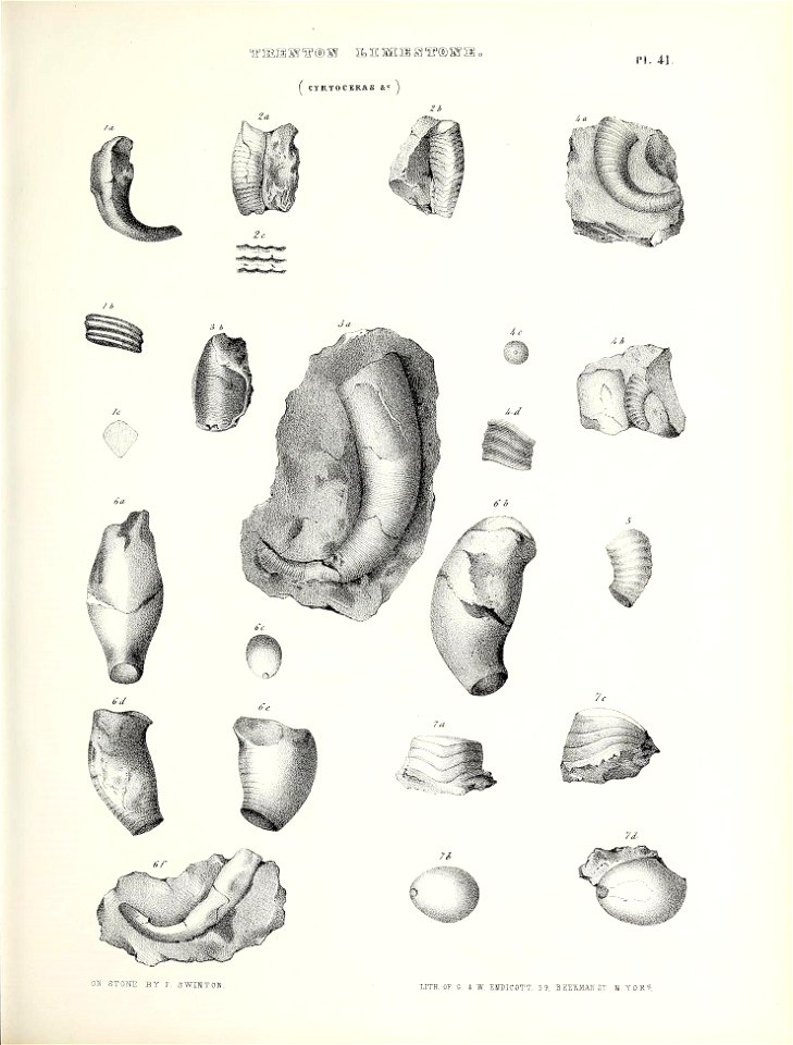 n578_w1150
