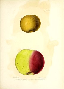 n206_w1150