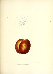 n176_w1150