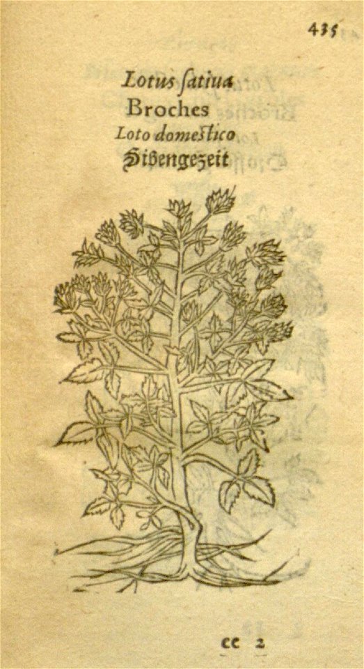 n457_w1150
