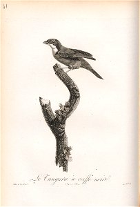 n155_w1150
