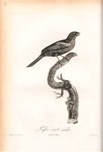 n57_w1150