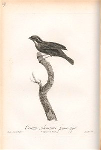 n147_w1150