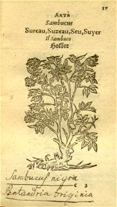 n59_w1150