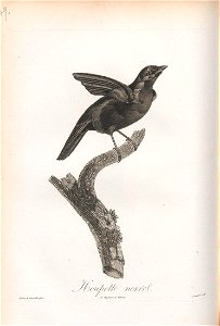 n181_w1150