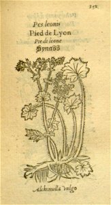 n373_w1150