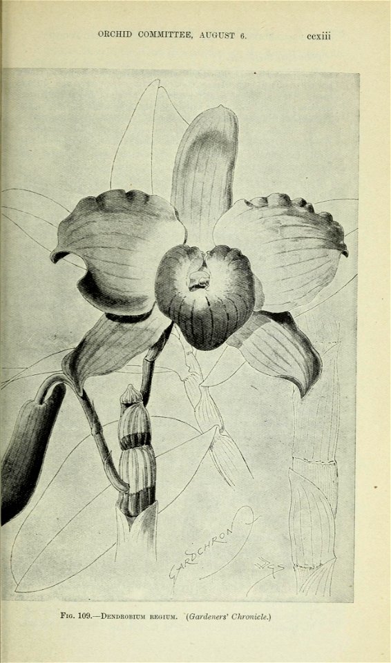 n976_w1150