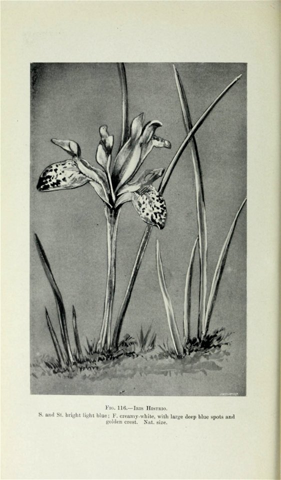 n507_w1150