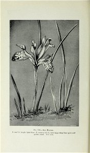 n507_w1150