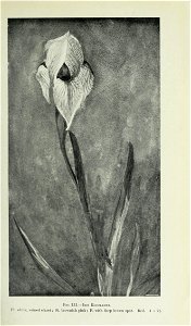 n530_w1150