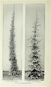 n433_w1150