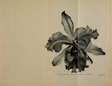n1062_w1150