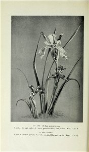 n527_w1150