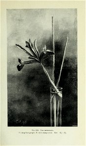n506_w1150