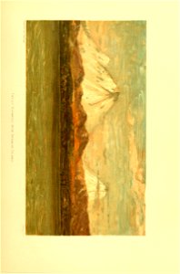 n200_w1150