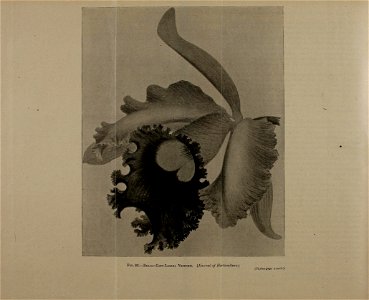 n789_w1150