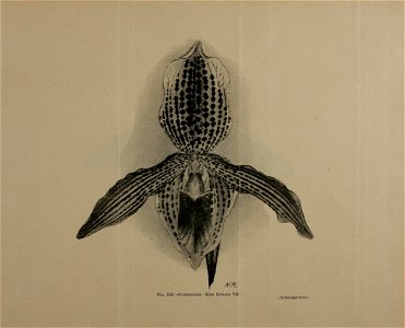 n1408_w1150