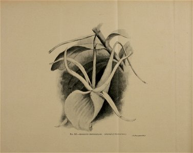 n1399_w1150